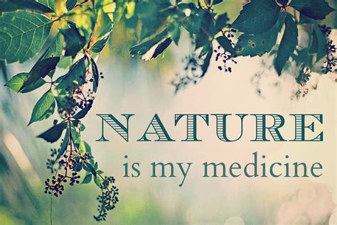 Nature Is My Medicine Nature Is My Medicine Sara Moss Wo Flickr