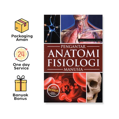 Jual Buku Anatomi Dan Fisiologi Tubuh Manusia Latihan Dan Panduan Riset