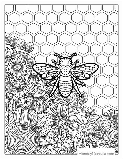Free Printable Honey Bee Coloring Pages