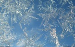 Frost Wallpaper - WallpaperSafari