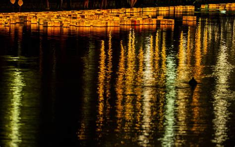Lanterns Light Up Sunset Park In Las Vegas — Photos Las Vegas Review
