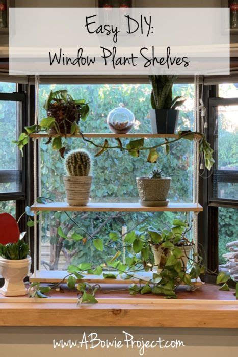 Easy Diy Hanging Window Plant Shelves Window Plants Window Plant