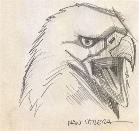 Aguila A Lápiz Eagle Drawing Drawing Sketches Drawings