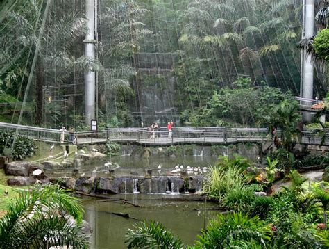Filekuala Lumpur Bird Park Inside Wikimedia Commons