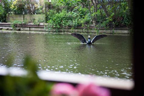 Central London Canal Boat Overnight Stay By The Indytute Experiences