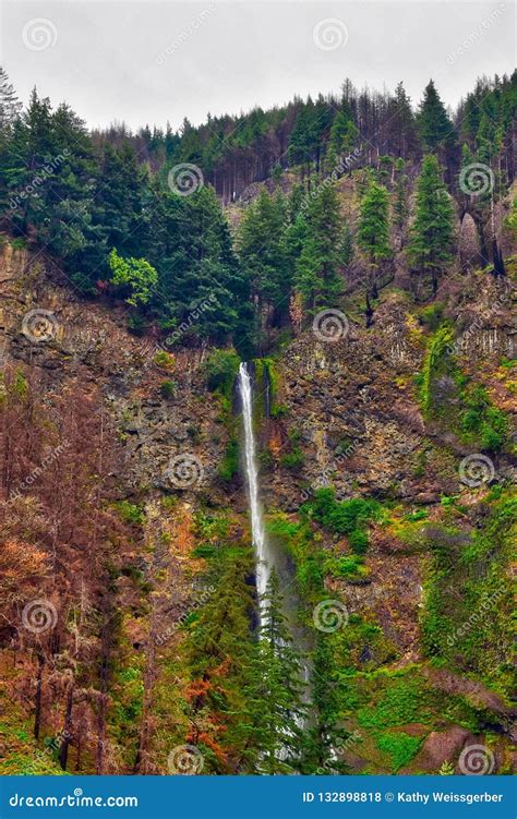 Multnomah Falls After The Fire In Oregon Stock Photo Image Of Oregon