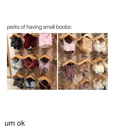 Perks Of Having Small Boobs Um Ok Girl Meme On Meme