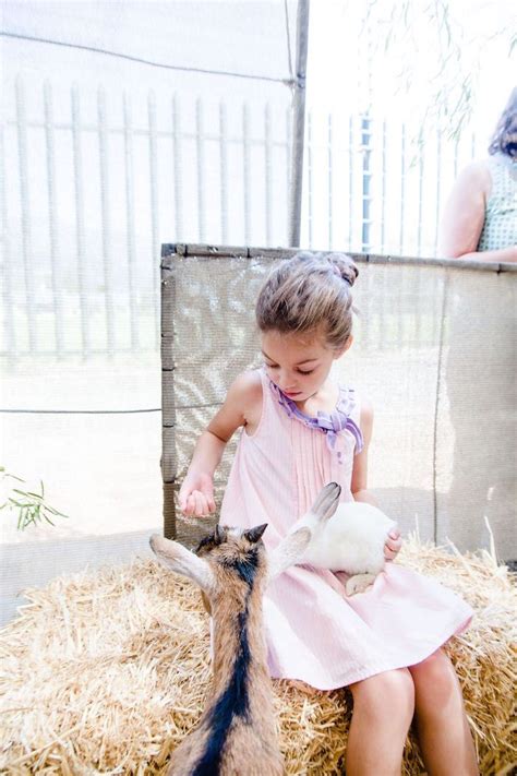 Whether you come to the zoo or the zoo comes to. Petting Zoo Birthday Party | Petting zoo birthday party ...