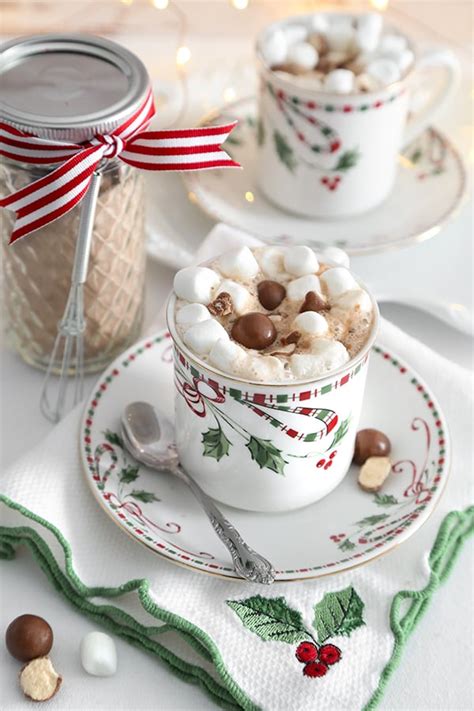 Instant Malted Hot Cocoa Mix Sprinkle Bakes