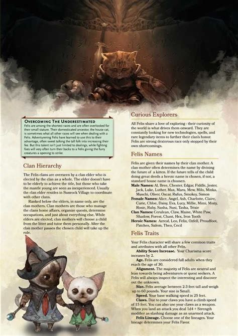 Dandd Felis Race Homebrew Dungeons And Dragons Characters Dungeons And