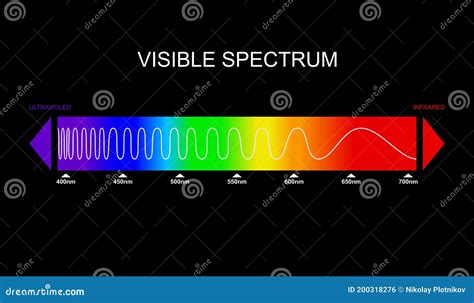 Spectrum Visible Light Diagram Portion Of The Electromagnetic Spectrum That Is Visible To The