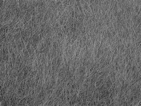 Gray Texture Background Free Stock Photo Public Domain