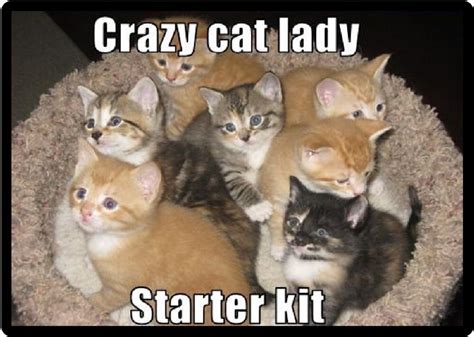 Funny The Crazy Cat Lady Starter Kit Refrigerator Magnet