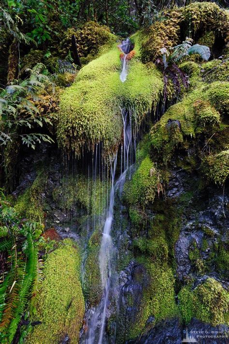 Moss Waterfall Mason County Washington 2017