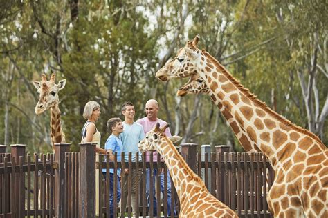 Zoos And Wildlife Nsw Plan A Holiday Animal Experiences And Wildlife