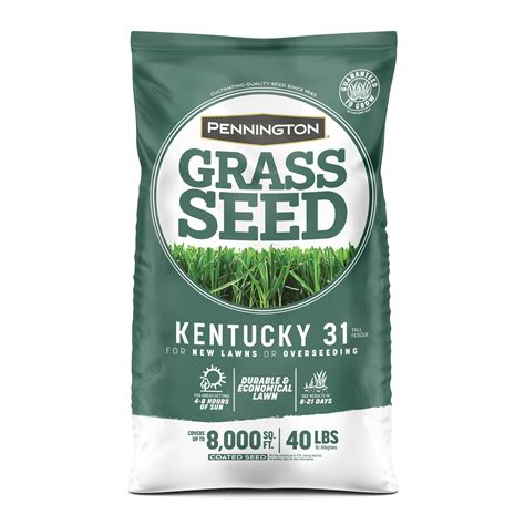 Pennington Kentucky 31 Tall Fescue KY 31 Grass Seed 40 Pound Bag