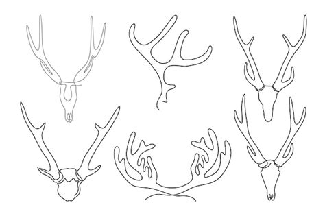 Premium Vector Continuous Line Drawing Of Deer Antlers Vector