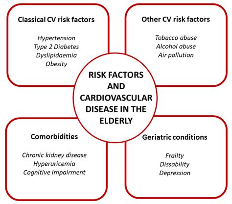 Risk Factors And Cardiovascular Disease In The Elderly