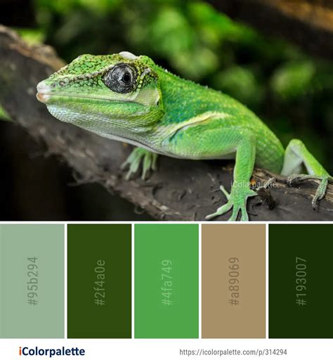4 Green Lizard Color Palette Ideas In 2024 Icolorpalette
