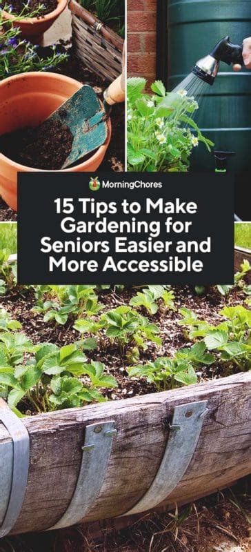 15 Tips To Make Gardening For Seniors Easier And More Accessible