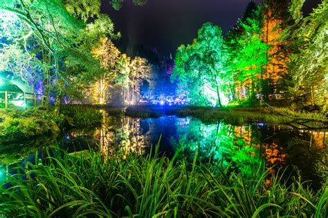 The Enchanted Forest Returns For Its 17th Year In October And Tickets