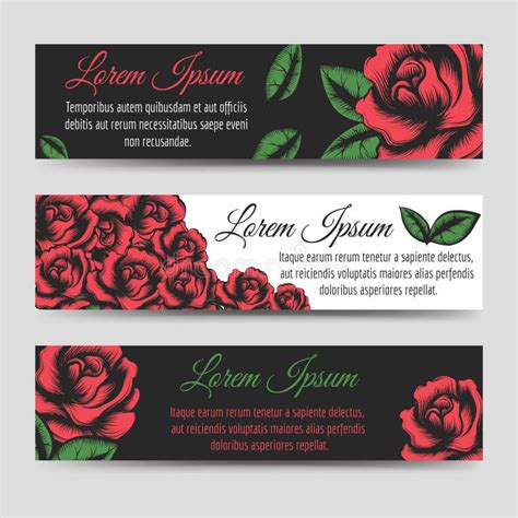 Red Rose Flowers Horizontal Banners Template Stock Vector