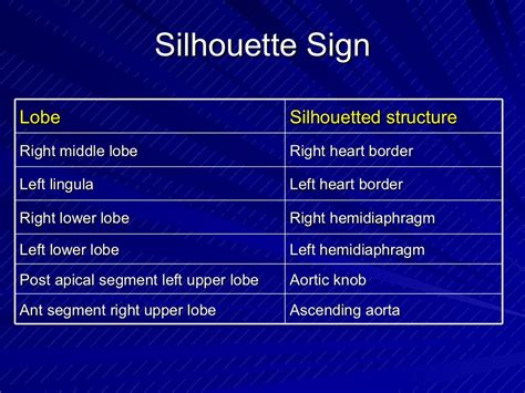 Silhouette Sign Lobe Silhouetted Structure Right Middle Lobe Right