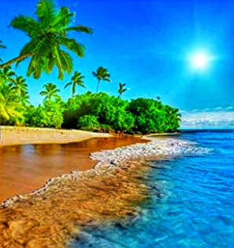 Site Currently Unavailable Beach Wallpaper Scenery