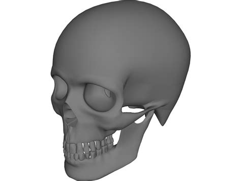 Skull 3d Cad Model Download 3d Cad Browser
