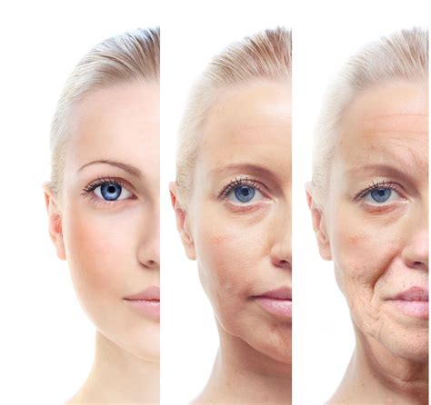 Facial Aging Changes In The Skin Grosse Pointe Dermatology