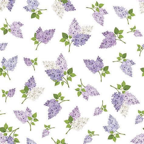 Download high quality jersey clip art from our collection of 42,000,000 clip art graphics. Royalty Free Lilacs Clip Art, Vector Images ...