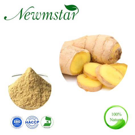ginger extract herbal extract plant extract powder zingiber officinale china ginger extract
