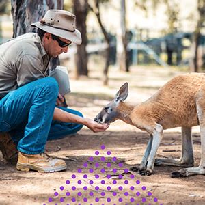 Usually, rat food with high quality found other than pet stores; Amazon.com : Mazuri Rat & Mouse Diet Rodent Food, 2 Pound ...