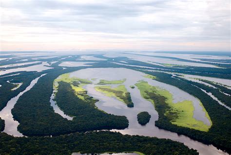 Nephicode Why The Amazon River Has No Delta Part Ii
