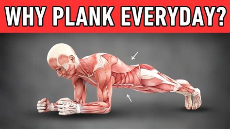 What Happens To Your Body When You Do Plank Daily For 1 Minute Transform Your Body Youtube