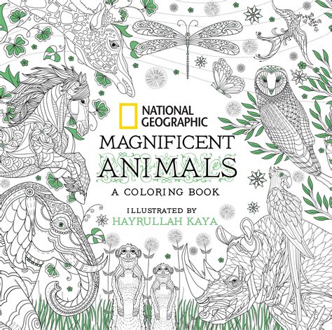 National Geographic Magnificent Animals A Coloring Book