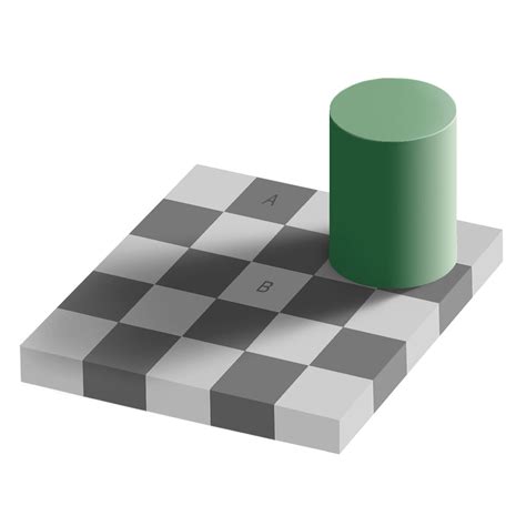 Checker Shadow Illusion By Edward H Adelson Interactive Optical Illusion