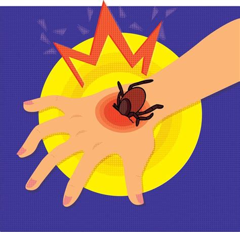 Lyme Disease Is A Solution On The Way Science The Guardian Lyme