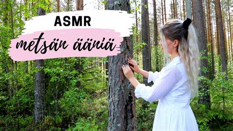 Asmr Suomi I 🌱 Metsän ääniä I Finnish Forest Sounds Youtube