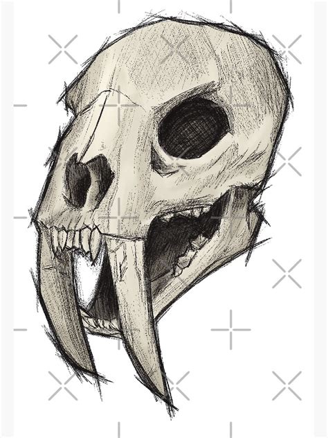 Sabertooth Tiger Skull Art Print By Artofalyksandr Redbubble