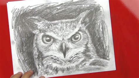 Speed Drawing Of An Owl Art For Kids Hub Drawings