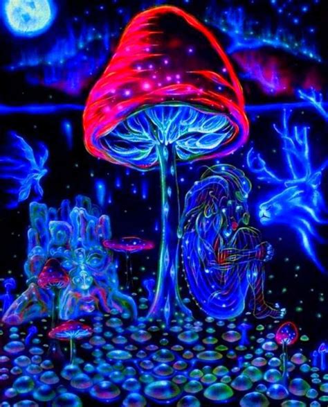 Mushrooms Trippy Art Fabric Poster 16x 13 Decor 13 In Painting