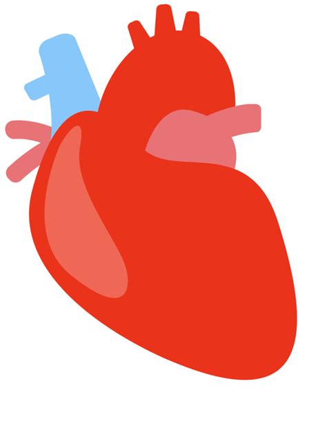 Coração Humano Vermelho Png Download Grátis Png Arts