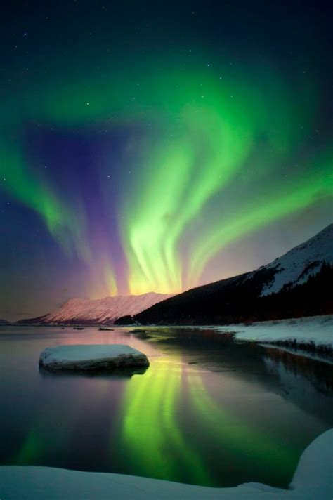The Northern Lights Create Spellbinding Display Above Alaskan Sky Alaska Northern Lights