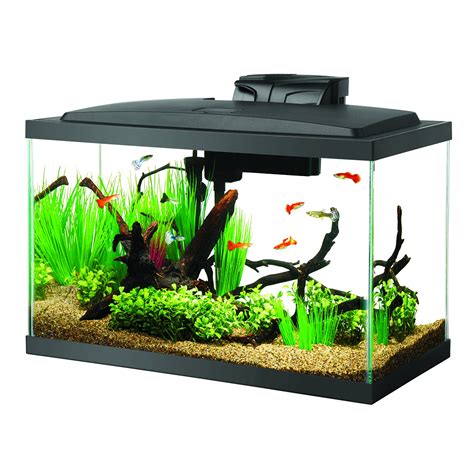 10 Gallon Fish Tanks Options And Reviews 2023 A Little Bit Fishy
