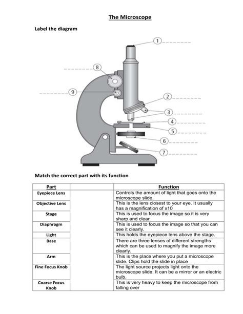 39 Parts Of The Microscope Worksheet Worksheet Master
