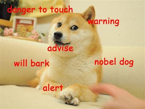 Doge Doge Know Your Meme