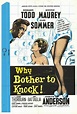 Why Bother to Knock - Película 1961 - Cine.com