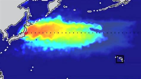 North American Scientists Track Incoming Fukushima Plume Bbc News