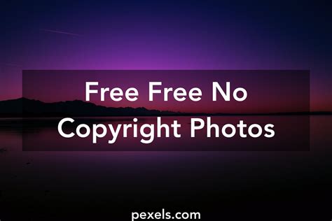 250 Interesting Free No Copyright Photos · Pexels · Free Stock Photos